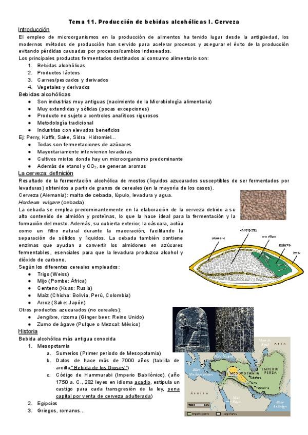 Miniatura del documento Tema-11.-Produccion-de-bebidas-alcoholicas-I.-Cerveza.pdf