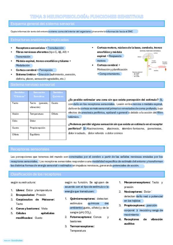 Miniatura del documento nervioso-3.1.pdf