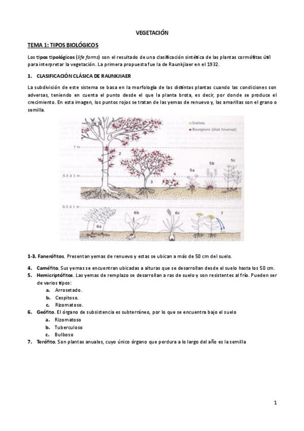 Miniatura del documento temas-1-2-3-4.pdf