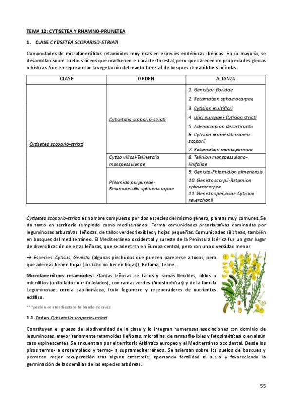 Miniatura del documento temas-12-13-14.pdf