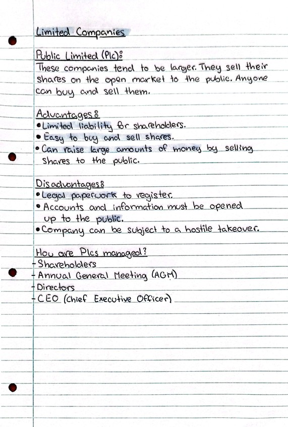 Miniatura del documento Limited-Companies-2.jpg