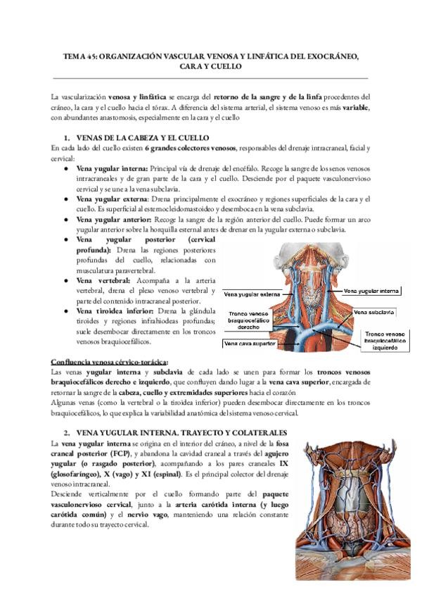 Miniatura del documento Anatomia-Humana-General-Tema-45.pdf