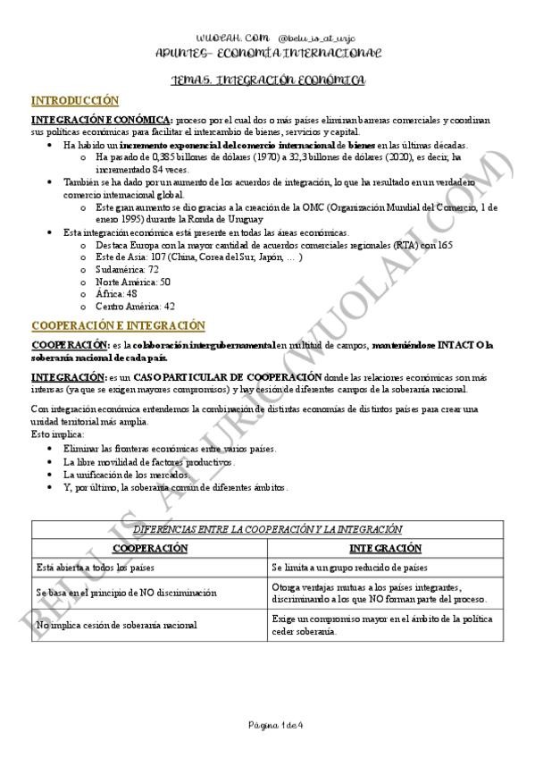 Miniatura del documento TEMA-5.-INTEGRACION-ECONOMICA-ECONOMIA-INTERNACIONAL.pdf