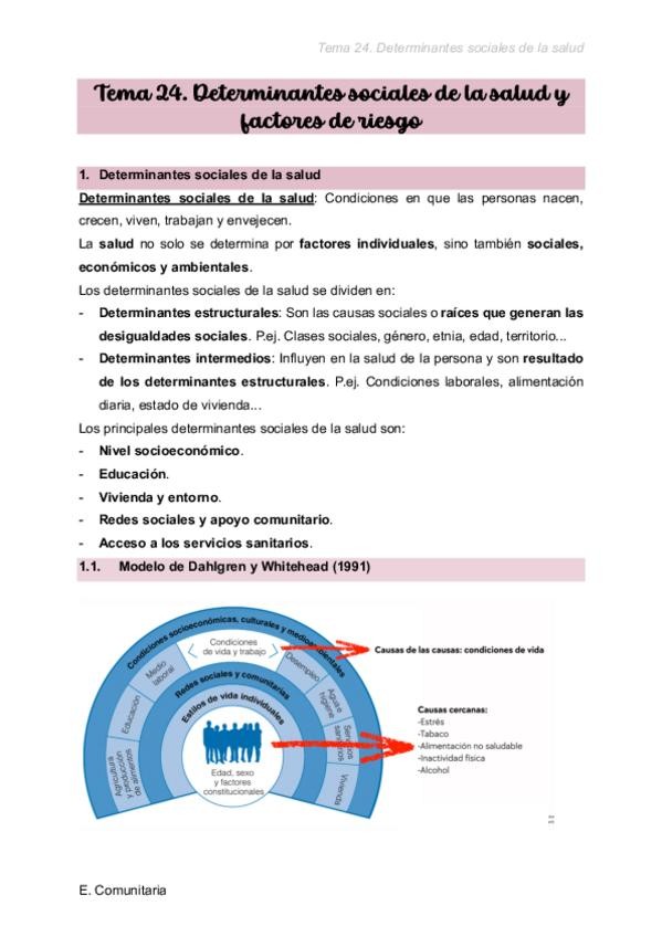 Miniatura del documento Tema-24.-Determinantes-sociales-de-la-salud-y-factores-de-riesgo.pdf