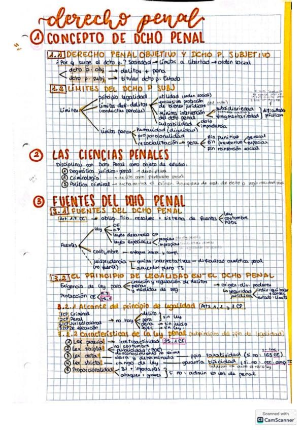Miniatura del documento Esquemas-penal-1-2-3.pdf