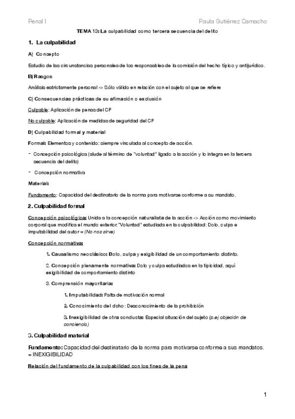Miniatura del documento T13-Penal-I.pdf