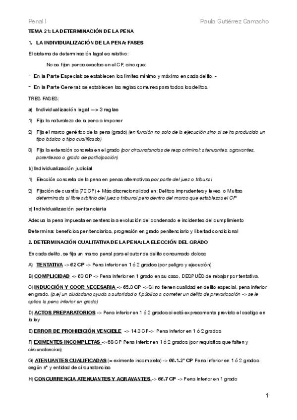 Miniatura del documento T21-Penal.pdf