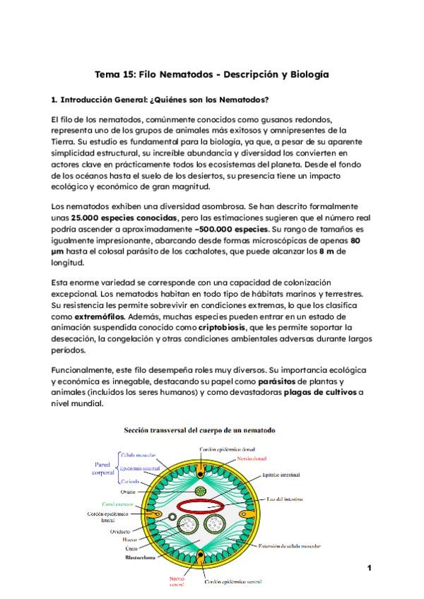 Miniatura del documento Tema-15-zoologia.pdf