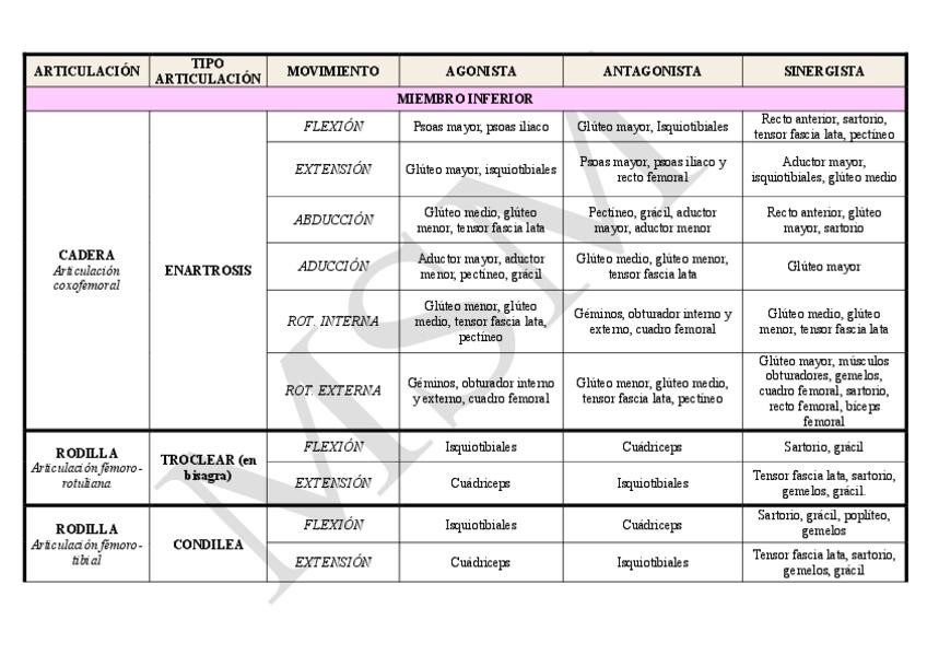 Miniatura del documento TABLA-MUSCULOS.pdf
