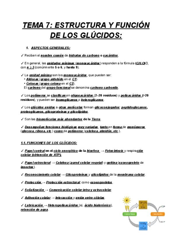 Miniatura del documento BIOQUIMICA-1-TEMA-7-ESTRUCTURA-Y-FUNCION-DE-LOS-GLUCIDOS.pdf