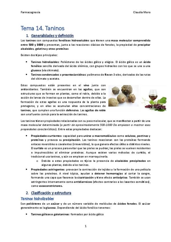 Miniatura del documento Tema-14.pdf