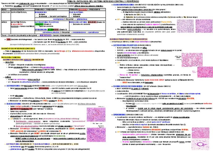 Miniatura del documento T30.pdf