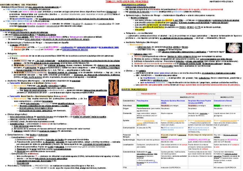 Miniatura del documento T21.pdf