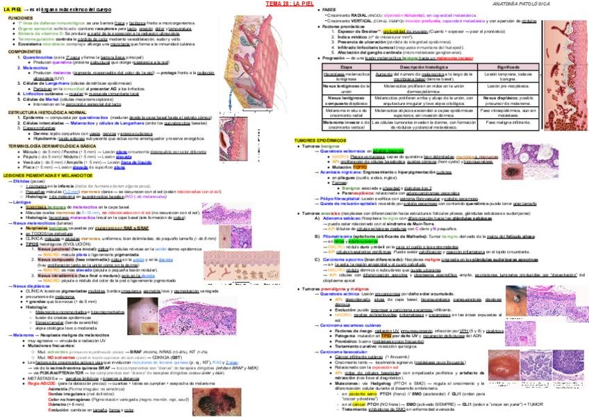 Miniatura del documento T28.pdf