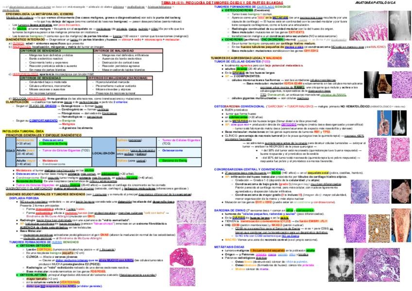 Miniatura del documento T29-AP.pdf