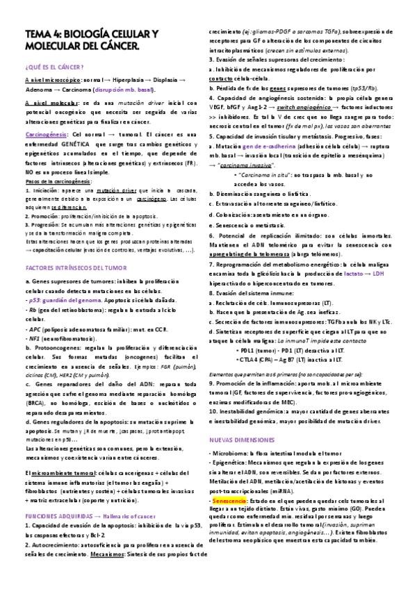 Miniatura del documento tema-4.pdf