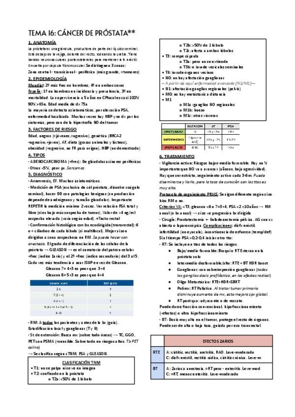 Miniatura del documento TEMA-16.pdf