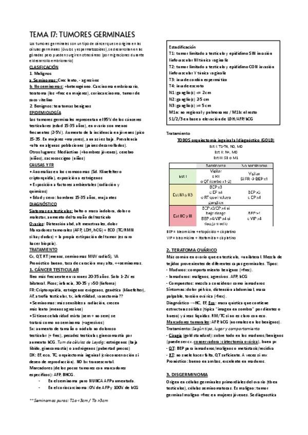 Miniatura del documento TEMA-17.pdf