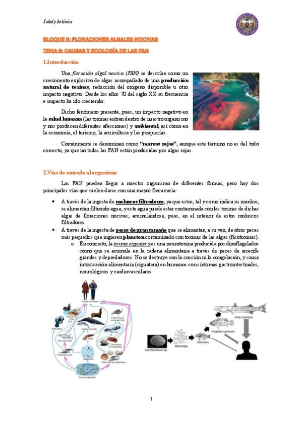 Miniatura del documento TEMA-6-Causas-y-ecologia-de-las-FANs.pdf
