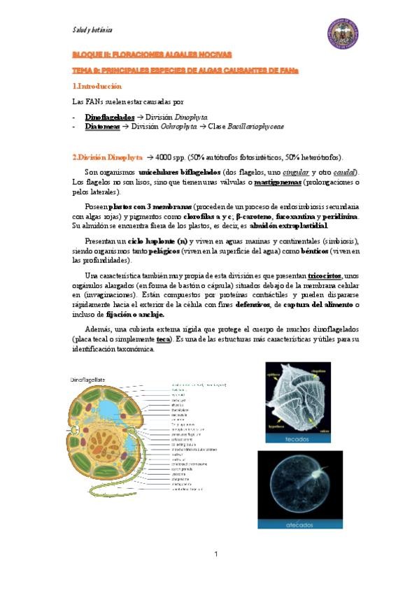 Miniatura del documento Tema-9-Principales-especies-de-algas-causantes-de-FANs.pdf