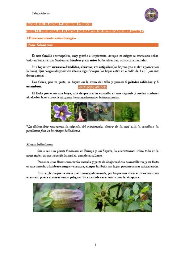 Miniatura del documento Tema-11Principales-plantas-causantes-de-intoxicaciones-parte-1.pdf