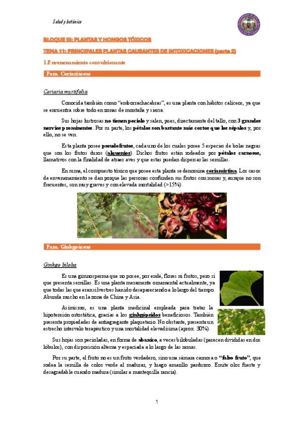 Miniatura del documento Tema-11Principales-plantas-causantes-de-intoxicaciones-parte-2.pdf