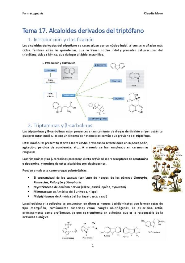Miniatura del documento Tema-17.pdf
