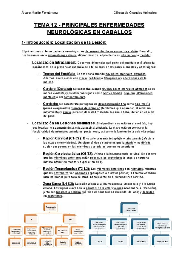 Miniatura del documento TEMA-12-PRINCIPALES-ENFERMEDADES-NEUROLOGICAS-EN-CABALLOS.pdf