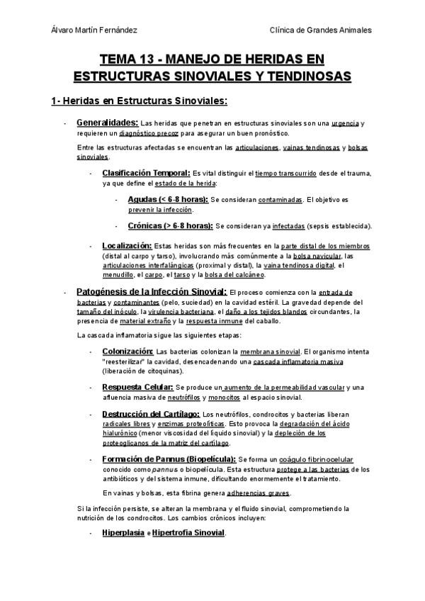 Miniatura del documento TEMA-13-MANEJO-DE-HERIDAS-EN-ESTRUCTURAS-SINOVIALES-Y-TENDINOSAS.pdf