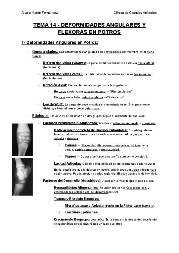 Miniatura del documento TEMA-14-DEFORMIDADES-ANGULARES-Y-FLEXORAS-EN-POTROS.pdf