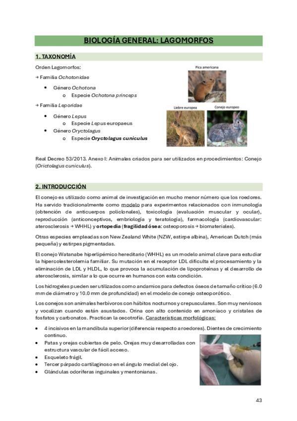 Miniatura del documento 8. Biología lagomorfos.pdf