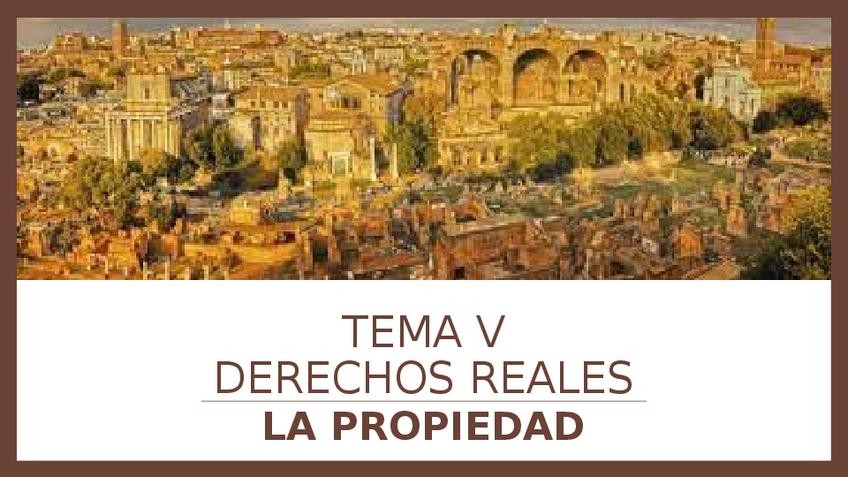 Miniatura del documento TEMA-V-PROPIEDAD.pptx