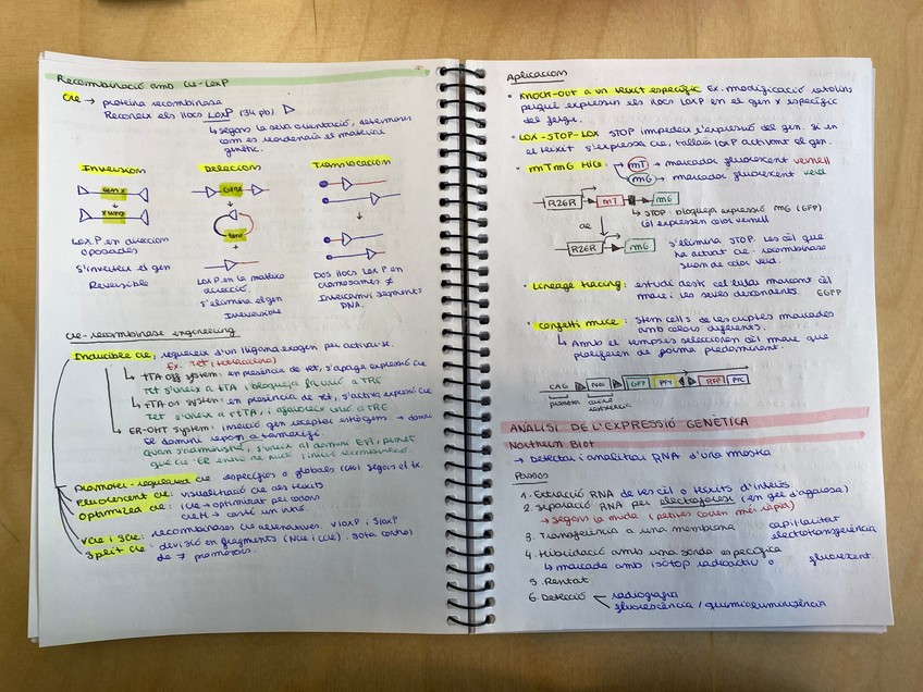 Miniatura del documento 20250113112827555iOS.jpg