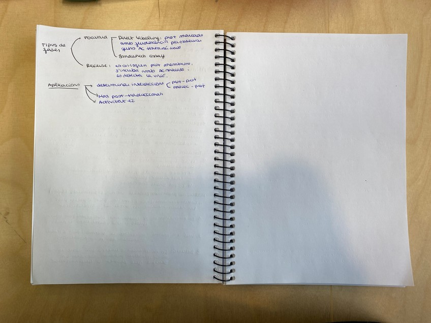 Miniatura del documento 20250113112841447iOS.jpg