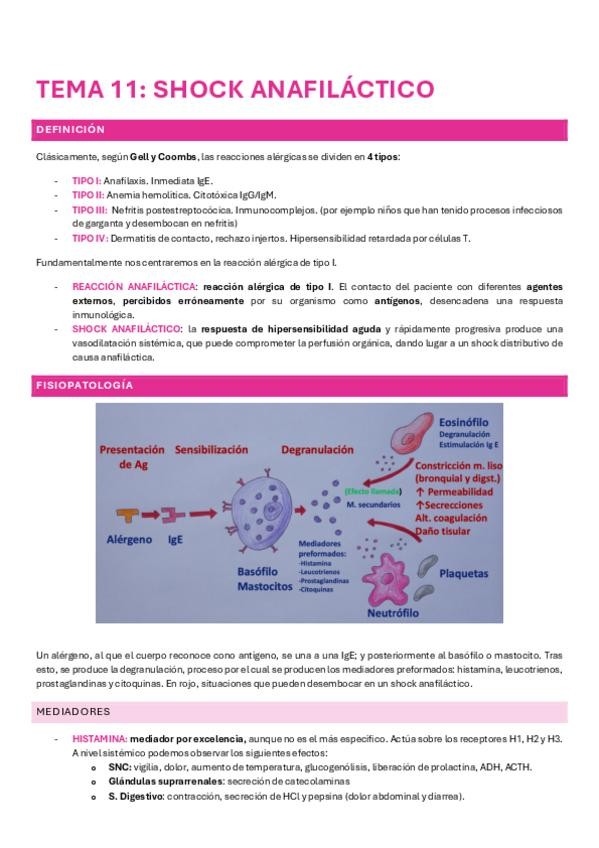 Miniatura del documento TEMA-11-ANESTESIA.pdf