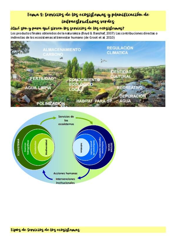 Miniatura del documento Tema-8-Servicios-de-los-ecosistemas-y-planificacion-de-infraestructuras-verdes.pdf