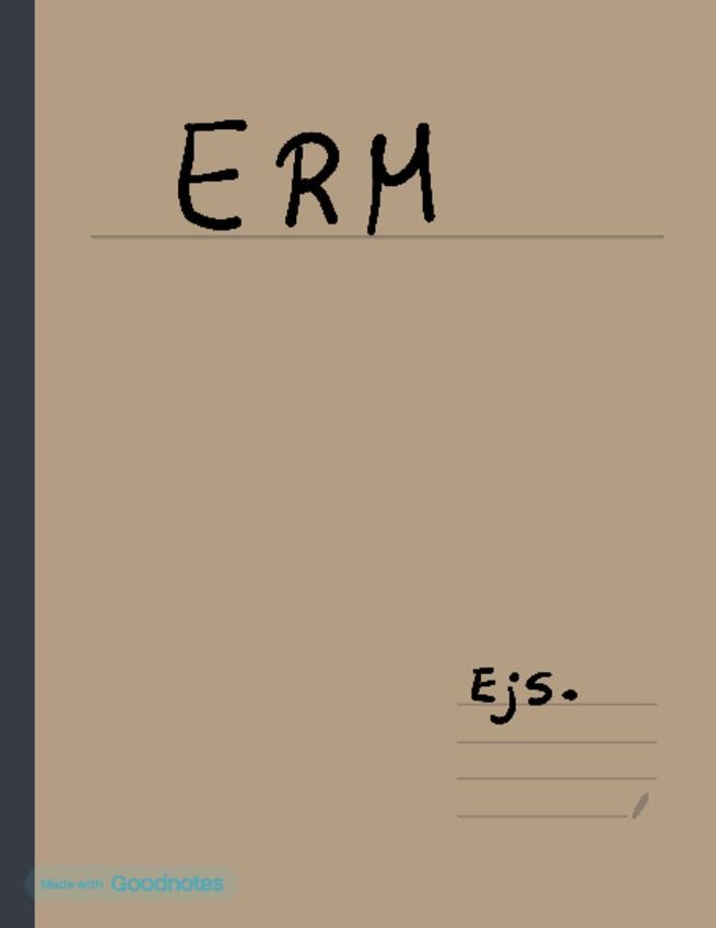 Miniatura del documento ERM-1.pdf