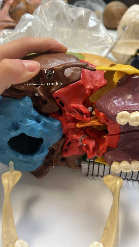 Miniatura del documento IMG-20241025-WA0023.jpg