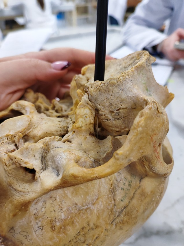 Miniatura del documento 1732357105147.jpg