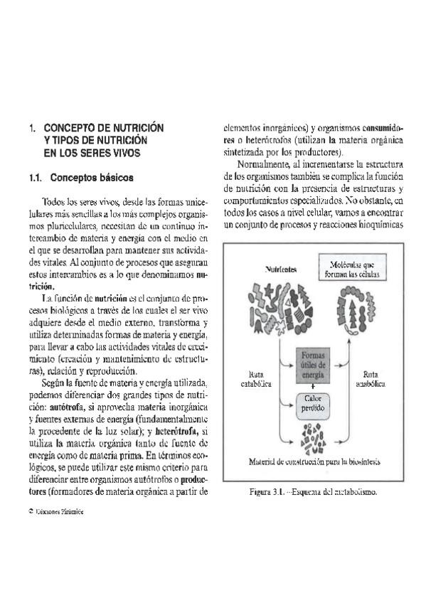 Miniatura del documento Nutricion-en-los-seres-vivos.pdf