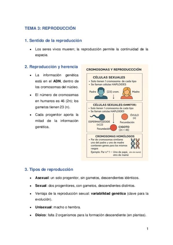 Miniatura del documento REPRODUCCION-RESUMEN.pdf