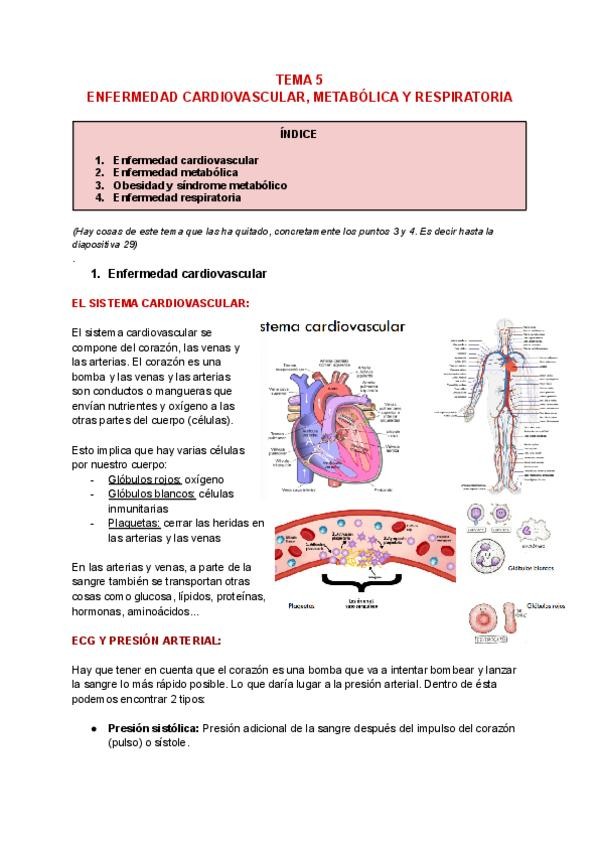 Miniatura del documento TEMA-5-SALUD-CORREGIDO.pdf