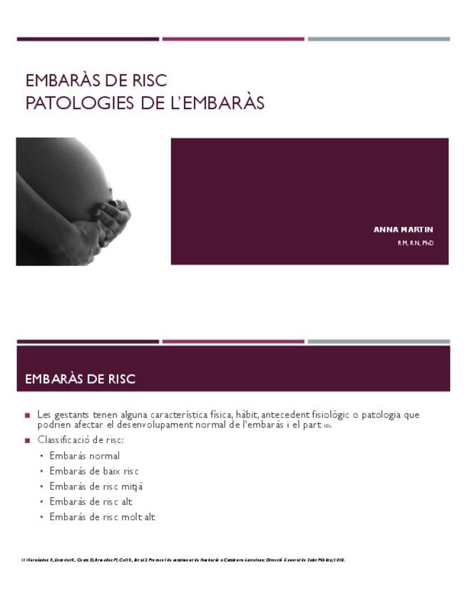 Miniatura del documento 4.-Embaras-de-risc.pdf