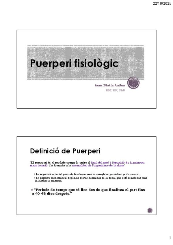 Miniatura del documento 6.-Puerperi.pdf