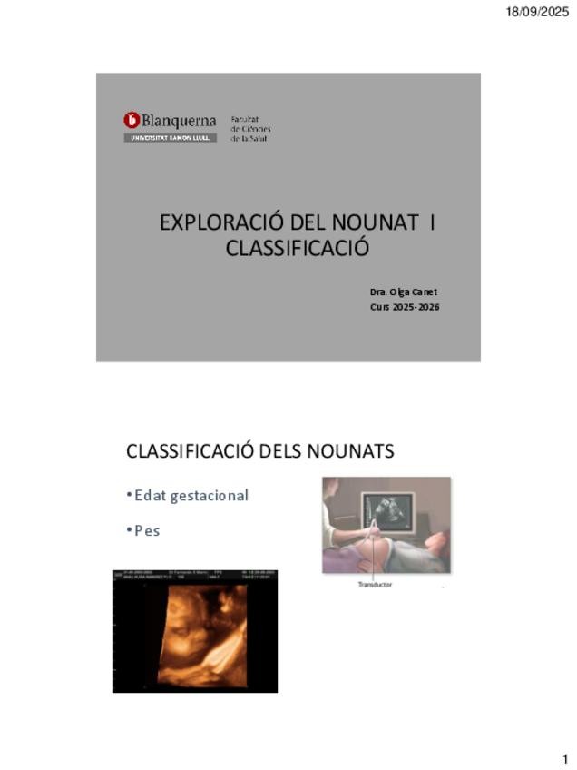 Miniatura del documento 10.-Exploracio-i-classificacio-de-nounats.pdf