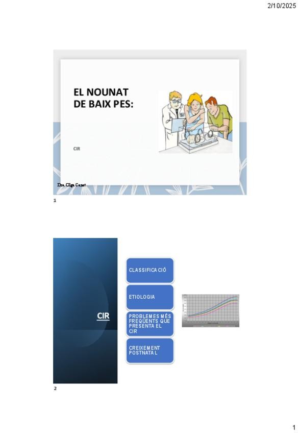 Miniatura del documento 11.2-CIR-nounat-de-baix-pes.pdf