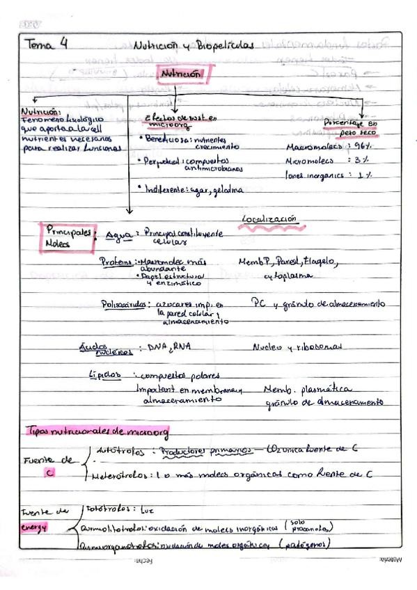 Miniatura del documento MicrobioTema4.pdf