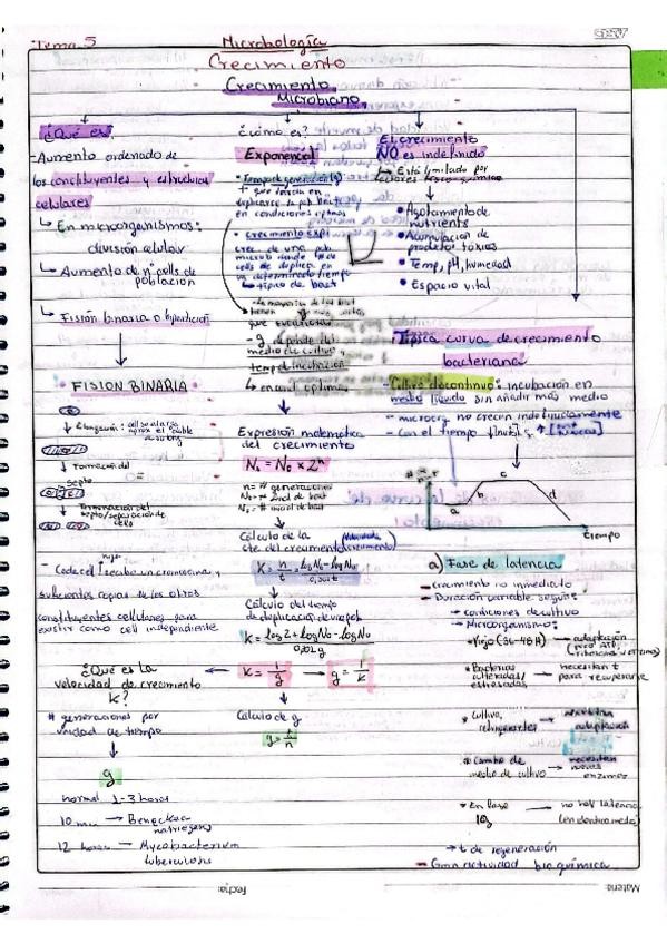 Miniatura del documento MicrobioTema5.pdf