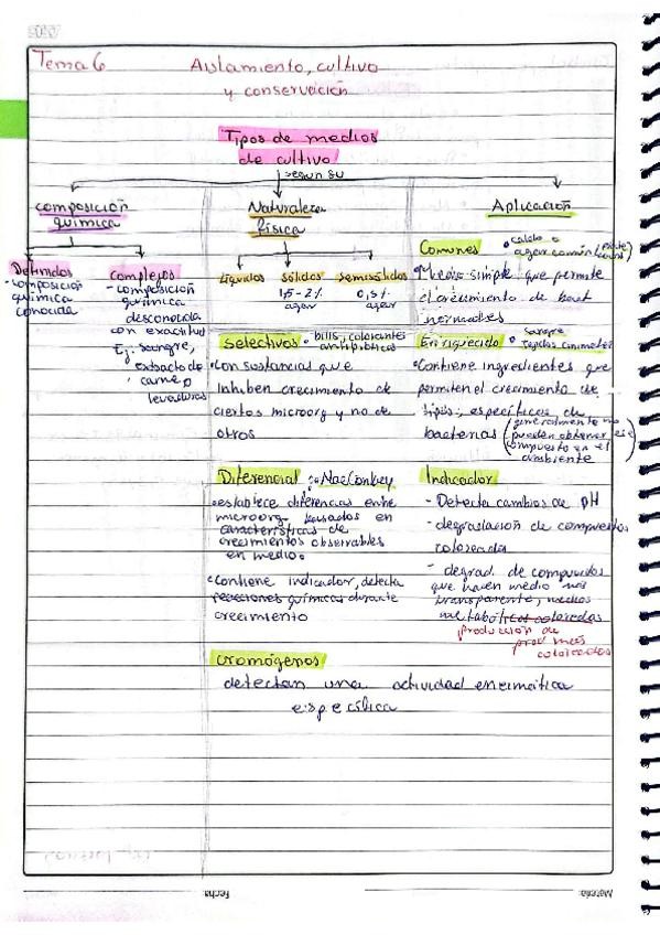 Miniatura del documento MicrobioTema6.pdf