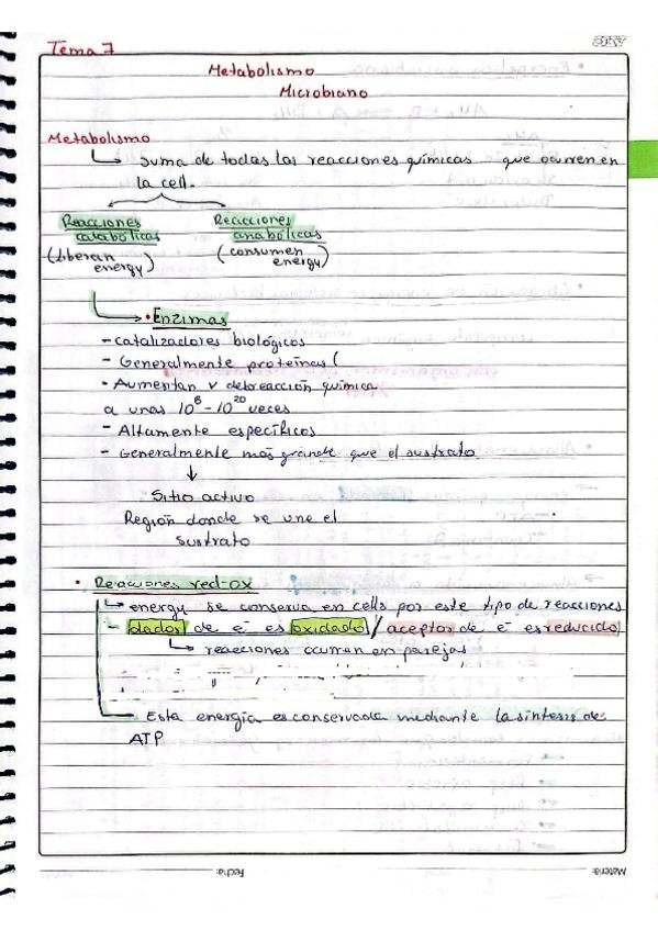 Miniatura del documento MicrobioTema7.pdf